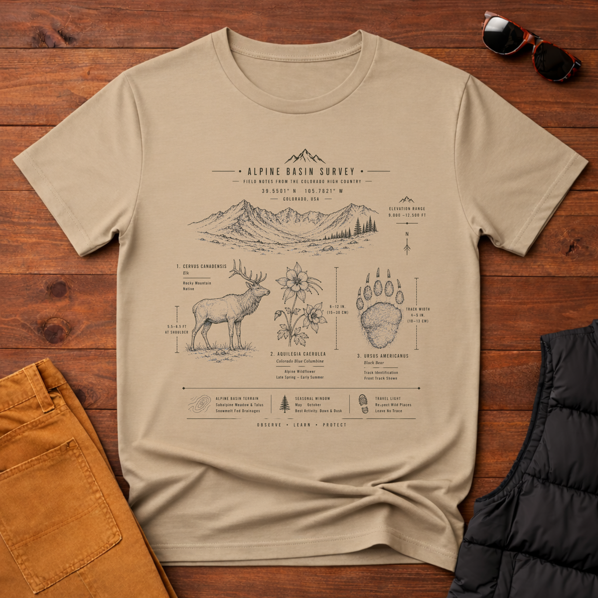 Alpine Basin Survey T-Shirt